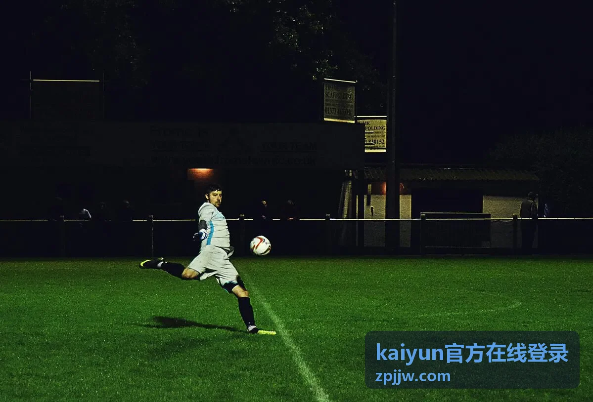 kaiyun官方在线登录入口核对流程示意图