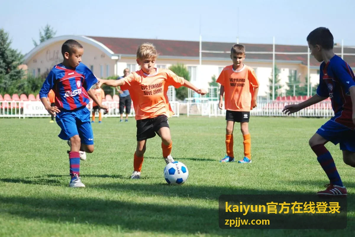 kaiyun官方在线登录提示信息逐项核对的操作示意