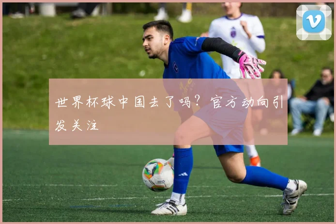 世界杯球中国去了吗？官方动向引发关注