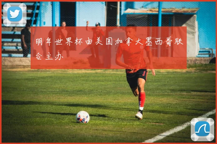 明年世界杯由美国加拿大墨西哥联合主办