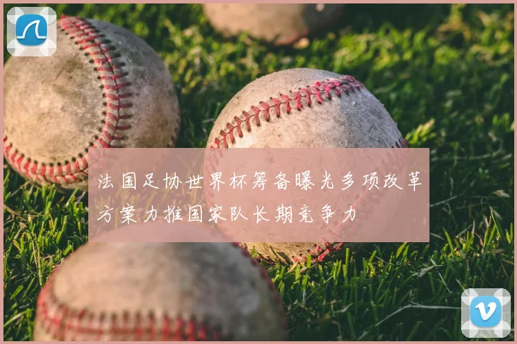 法国足协世界杯筹备曝光多项改革方案力推国家队长期竞争力